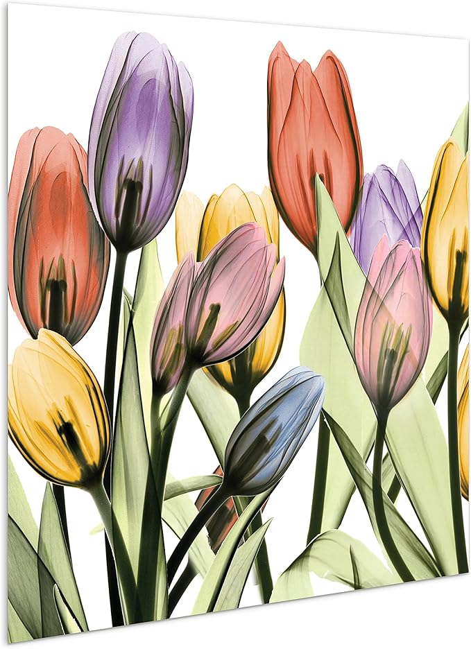 Empire Art Direct Frameless Free Floating Tempered Glass Panel Graphic Wall Art - Image 4