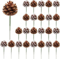 Fovths 24 Pieces Christmas Pine Cones Pick Pinecones Ornament Christmas Tree by Fovths