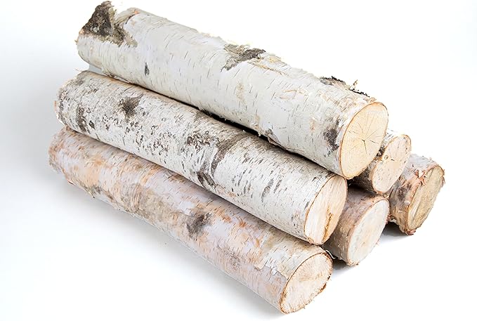 17 Inch Natural Birch Logs by Unknown