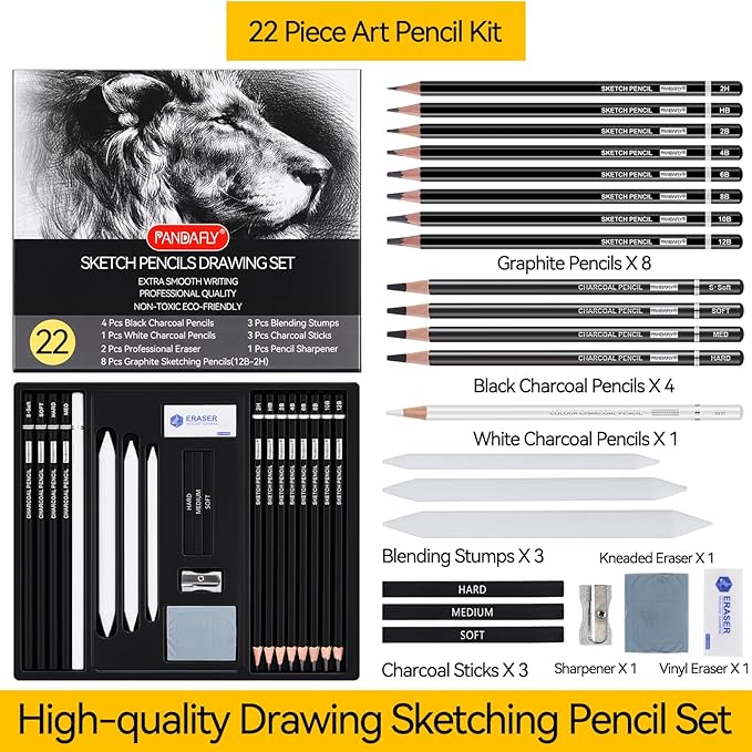 PANDAFLY Drawing Sketching Pencil Set, 22 Piece Pro Art Pencil Kit - Image 2