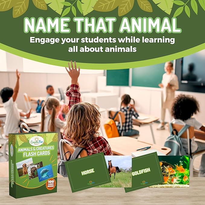 100 Animal, Insect & Ocean Creatures Flash Cards, Realistic Pictures - Image 7