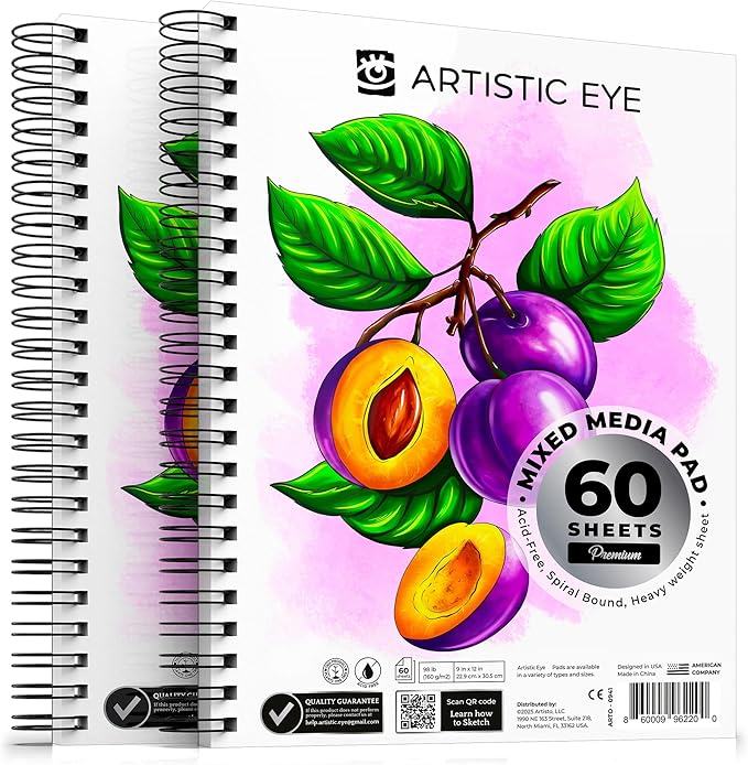 ARTISTIC EYE 9x12 Premium Mixed Media Sketchbooks: Pack of 2, 160 GSM, Spiral by ARTISTICEYE
