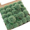Floroom Artificial Dahlia Flowers 25pcs Real Looking Elf Green Foam Fake Roses by Floroom