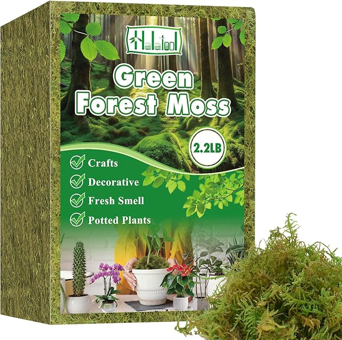 Halatool 2.2LBS Forest Green Moss by HALATOOL