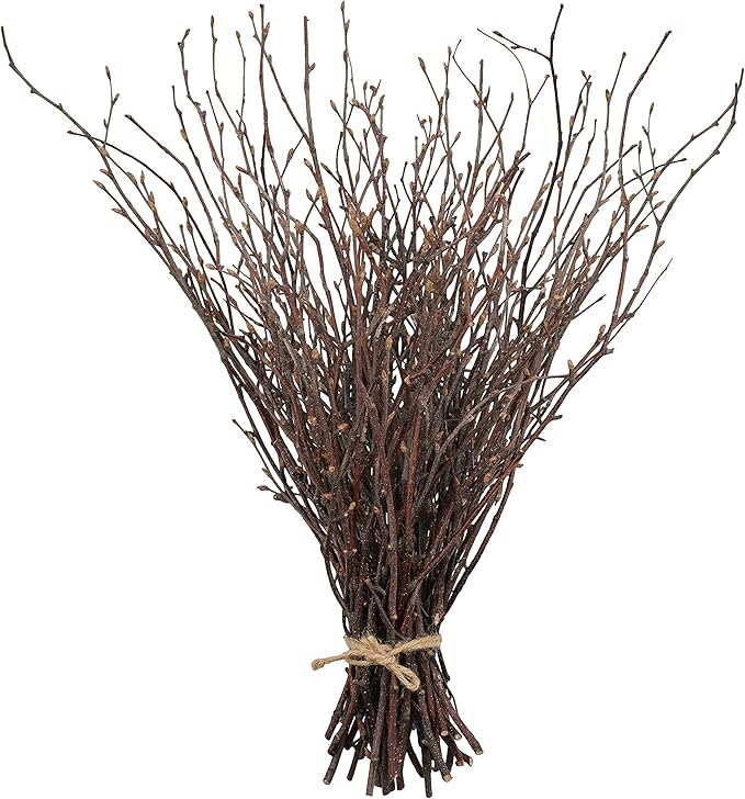 Uieke 200PCS Birch Twigs – 17 Inch Natural Dried Plants Decorative Birch - Image 8