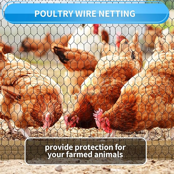 36'' x 50' Black Chicken Wire Fencing, 1 inch Chicken Wire and 20 Gauge Poultry - Image 7