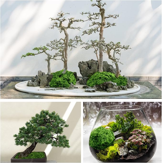 Draupnir Fake Green Moss for Potted Plants, 10.6OZ Fake Moss for Plants Indoor - Image 3