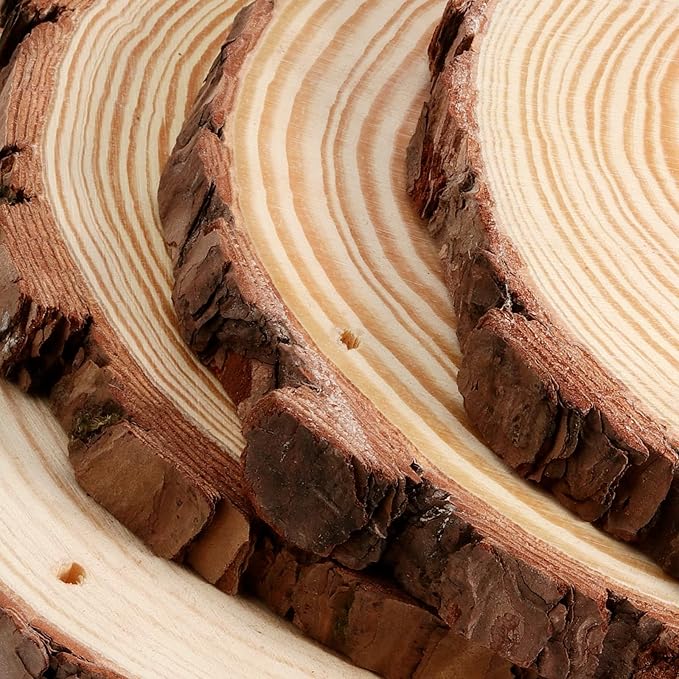 JEUIHAU 10 PCS 6.7-7 Inches Natural Wood Slices - Image 3