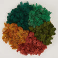Preserved Reindeer Moss Natural Green DIY Kit Gardenning Art Wall Decor Florist by %E7%8E%B0%E5%9C%A8%E8%B4%AD%E4%B9%B0