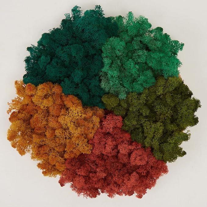 Preserved Reindeer Moss Natural Green DIY Kit Gardenning Art Wall Decor Florist by %E7%8E%B0%E5%9C%A8%E8%B4%AD%E4%B9%B0
