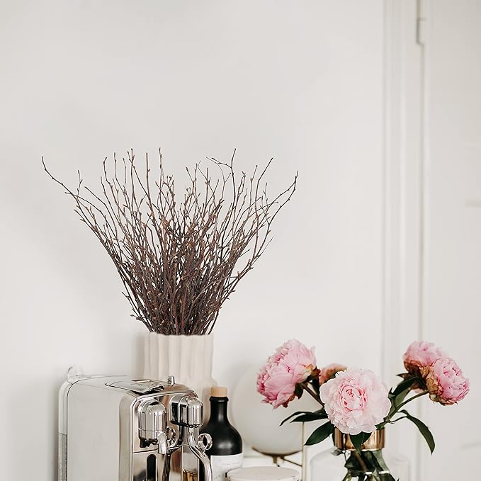 Uieke 100PCS Natural Dried Birch Twigs - Image 3