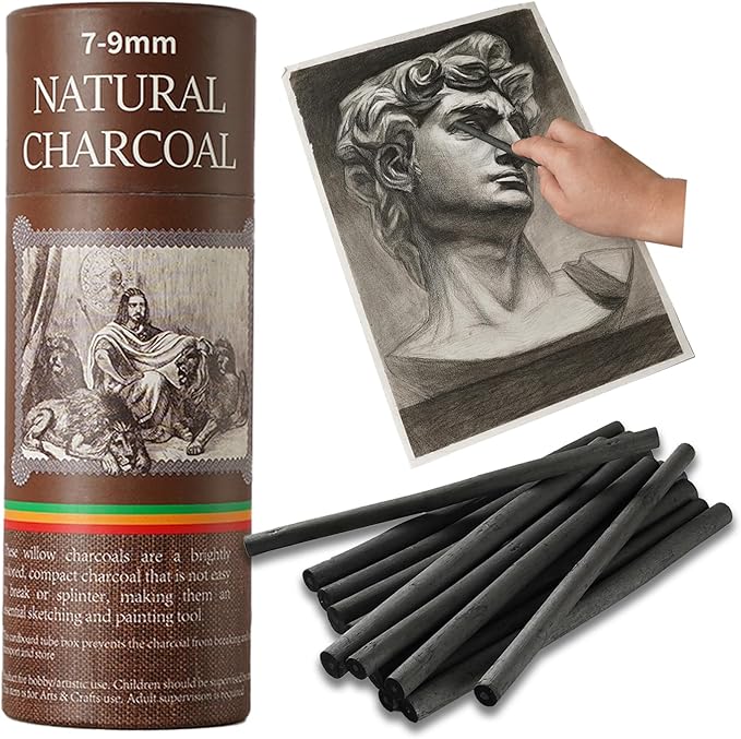 25 PCS Willow Charcoal Sticks, and Fine Art, 5.7 Inches Long by Unknown