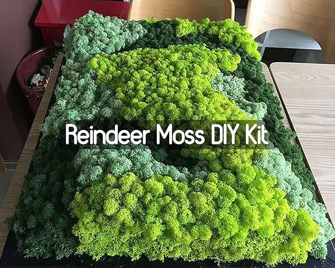 Preserved Reindeer Moss Natural Green DIY Kit Gardenning Art Wall Decor Florist - Image 7