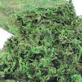 Artificial Moss, 10.5 OZ Green Moss by YGbridge