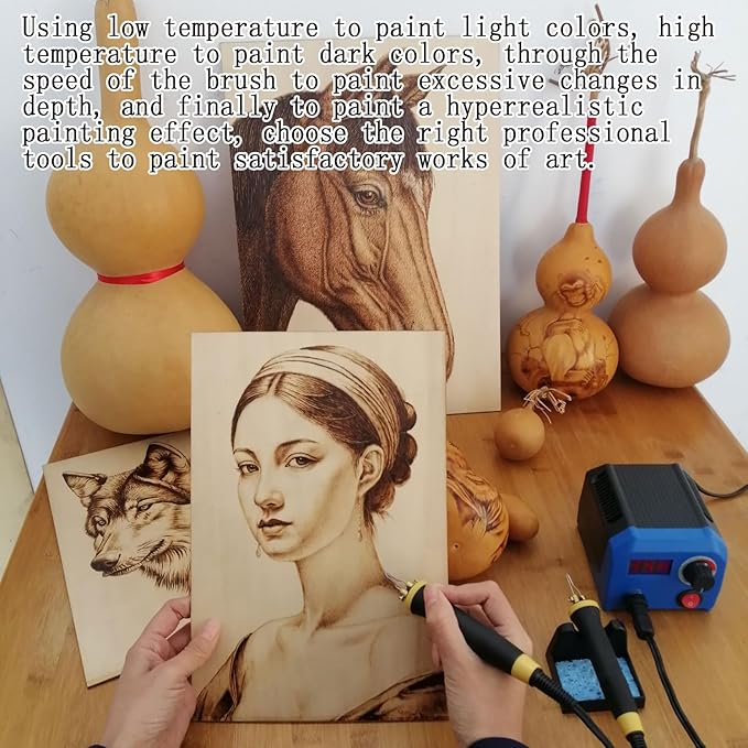 LH55-1 wood burning kit, wood burning tool, digitally adjustable temperature - Image 5