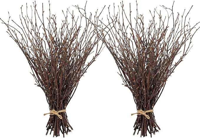 Uieke 100PCS Natural Dried Birch Twigs by Uieke