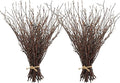 Uieke 100PCS Natural Dried Birch Twigs by Uieke