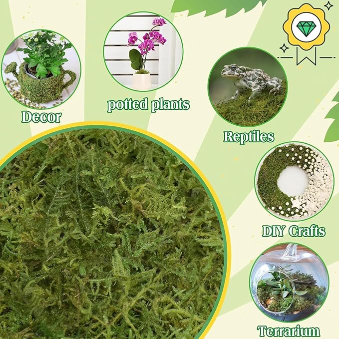 Halatool 2.2LBS Forest Green Moss - Image 6