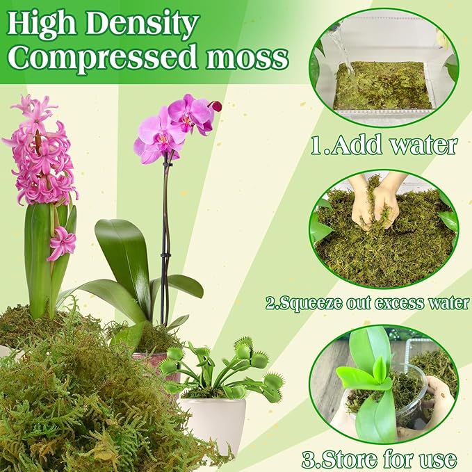 Halatool 9OZ Green Moss for Potted Plants, 12QT Orchid Moss Potting Mix - Image 4