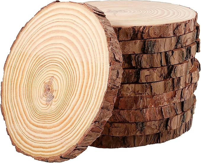 JEUIHAU 10 PCS 5.9-6.3 Inches Natural Unfinished Wood Slices, Round Wooden Tree by JEUIHAU