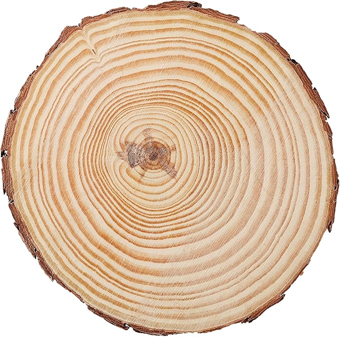 JEUIHAU 12 PCS 5.5-5.9 Inches Natural Unfinished Wood Slices, Round Wooden Tree - Image 4