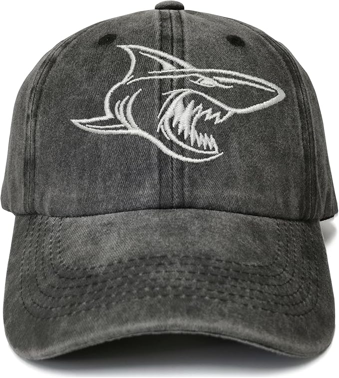 Embroidered Baseball Hats for Men Women