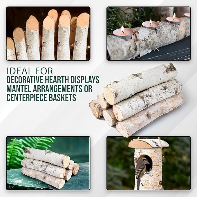 17 Inch Natural Birch Logs - Image 3