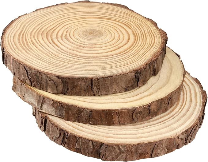 JEUIHAU 8 PCS 7-7.9 Inches Natural Unfinished Wood Slices, Round Wooden Tree - Image 4