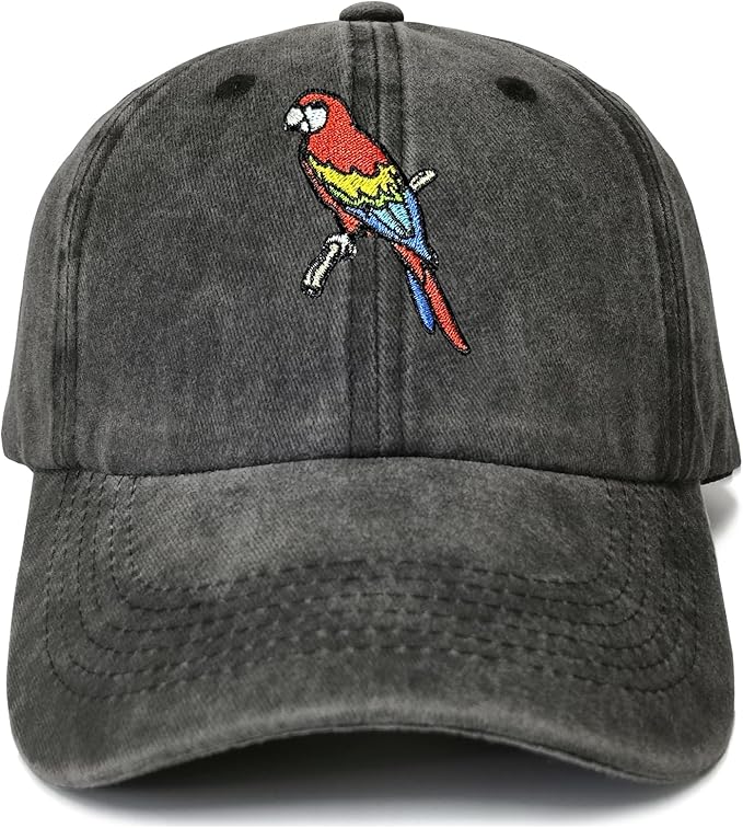 Embroidered Baseball Hats for Men Women