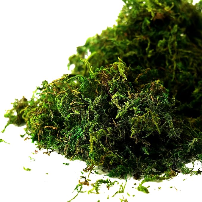 Moss for Plants Indoor, 16OZ Fresh Green Artificial Moss for DIY Crafts - Image 6