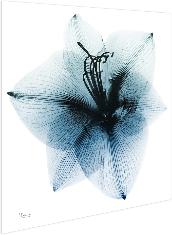 Empire Art Direct Frameless Free Floating Tempered Glass Panel Graphic Wall Art - Image 4