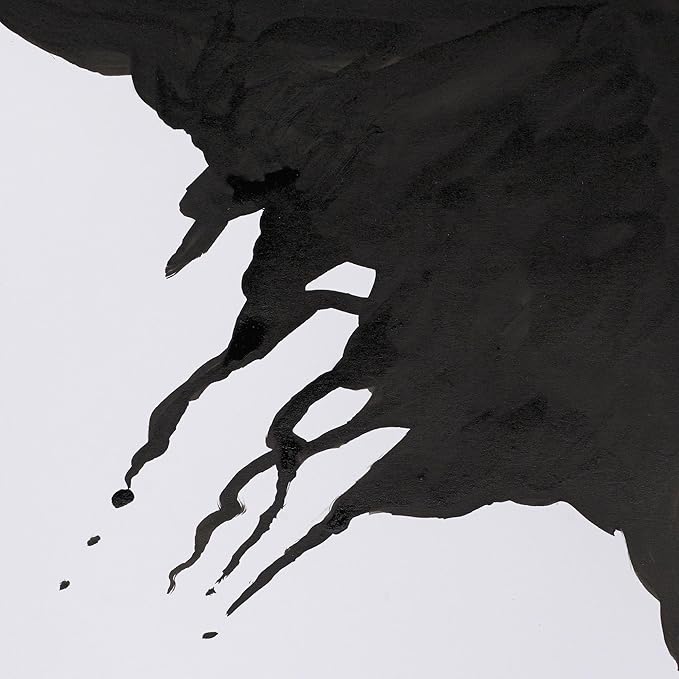 Winsor & Newton Drawing Ink, 14ml Bottle, Liquid Indian Ink - Image 2