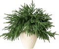 6Pcs Artificial Norfolk Pine Branches by GIAUMA