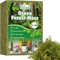 Halatool 1.1LB Green Moss for Potted Plants, 25QT Orchid Moss Potting Mix by HALATOOL