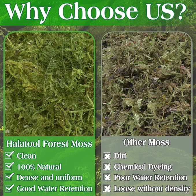 Halatool 2.2LBS Forest Green Moss - Image 7