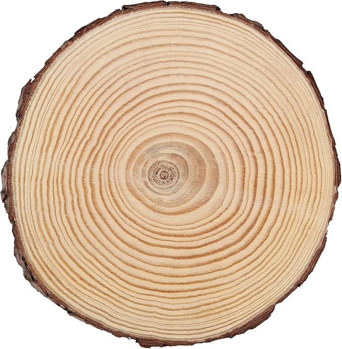 JEUIHAU 8 PCS 8-9 Inches Natural Wood Slices, Unfinished Predrilled Wooden - Image 4