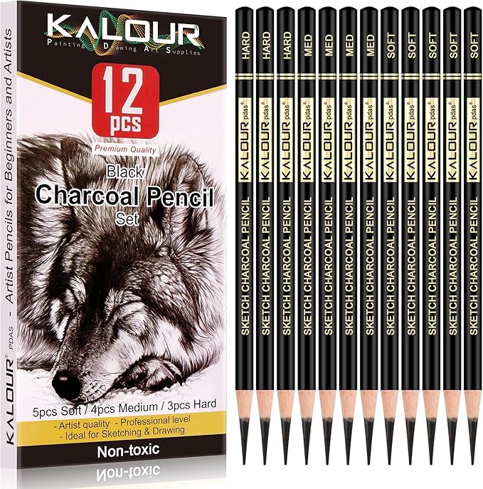 KALOUR Professional Charcoal Pencils Drawing Set -12 Pieces Soft, Medium and by KALOUR