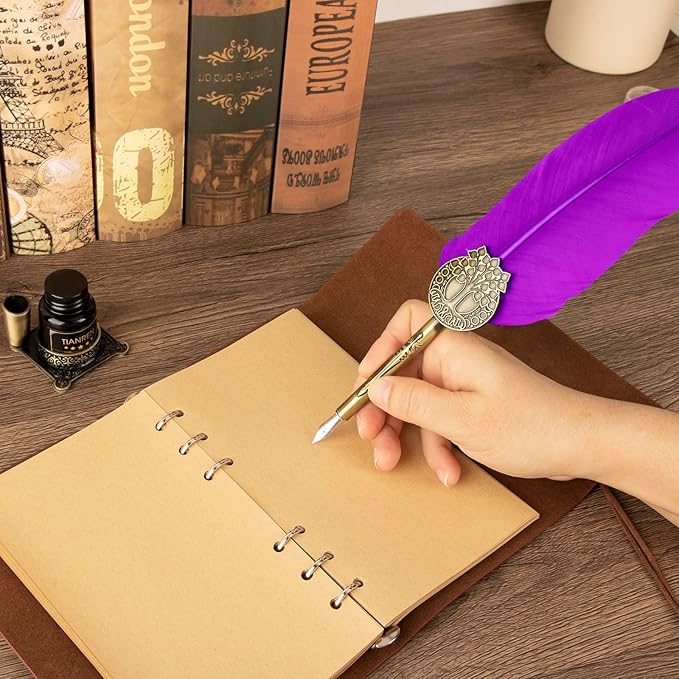 Quill pen ink set, Feather Pen and Ink Set, Antique Calligraphy Pen - Image 6