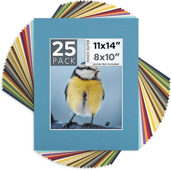 Mat Board Center, 11x14 for 8x10 Mixed Color Mats by MatBoardCenter