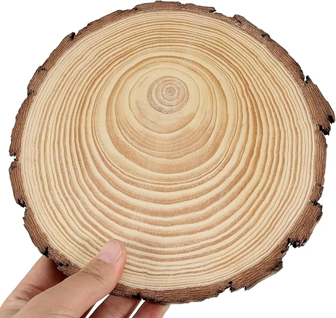 JEUIHAU 8 PCS 7-7.9 Inches Natural Unfinished Wood Slices, Round Wooden Tree - Image 5