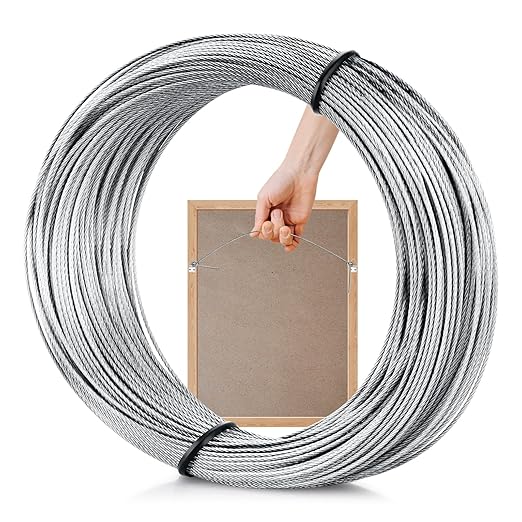 Picture Hanging Wire, 100-Feet Hanging Wire Heavy Stainless Steel line Rope by Taocar