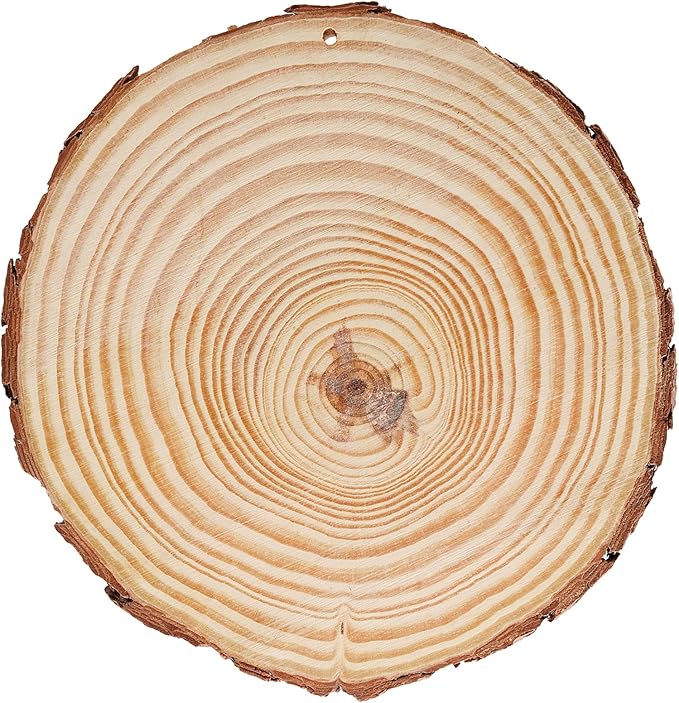 JEUIHAU 10 PCS 6.7-7 Inches Natural Wood Slices - Image 4