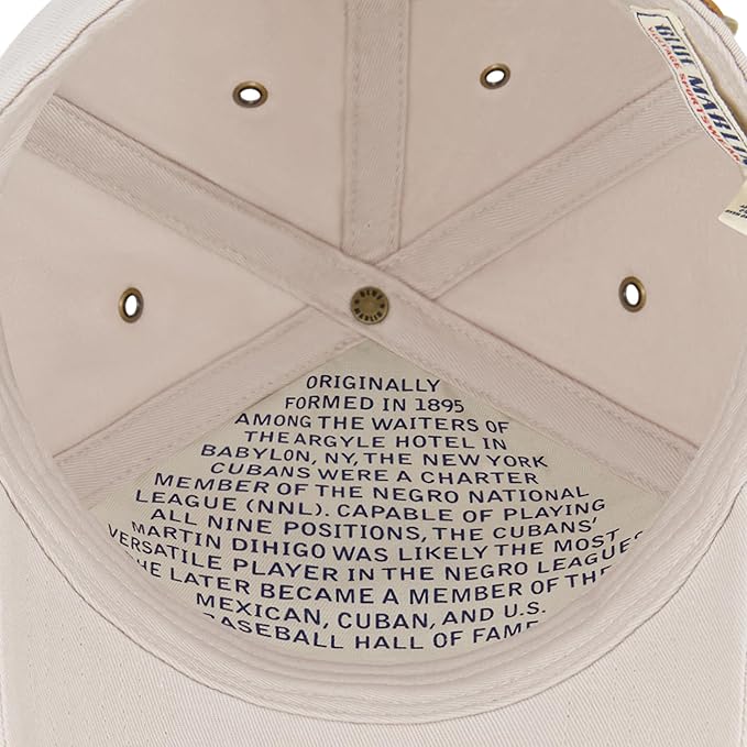 Blue Marlin Dad Hat, Adult Cotton Baseball Cap with Curved Brim, One Size.