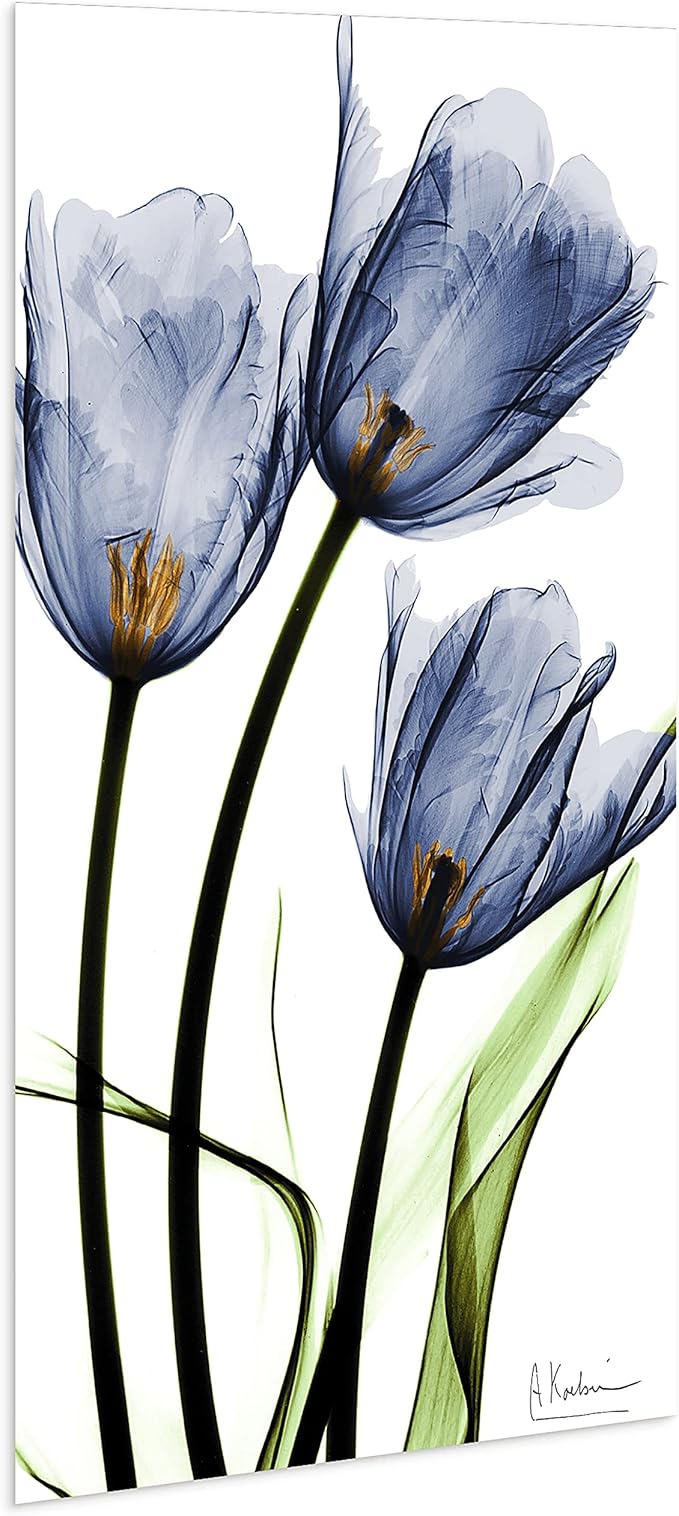 Empire Art Direct Frameless Free Floating Tempered Glass Panel Graphic Wall Art - Image 6