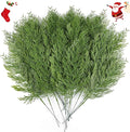 Hananona 40 Pcs Artificial Cedar Picks Faux Cedar Branches Fake Cypress Stems by HANANONA