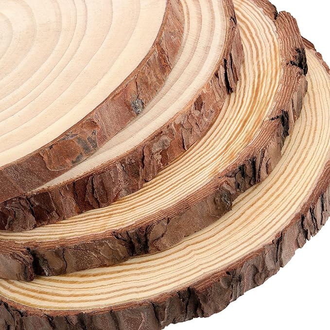 JEUIHAU 8 PCS 8-9 Inches Natural Wood Slices, Unfinished Predrilled Wooden - Image 3