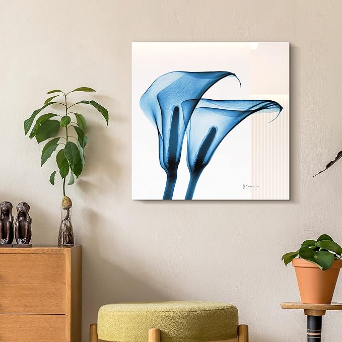 Empire Art Direct Frameless Free Floating Tempered Glass Panel Graphic Wall Art by EmpireArtDirect