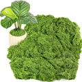 Draupnir Fake Green Moss for Potted Plants, 10.6OZ Fake Moss for Plants Indoor by Draupnir