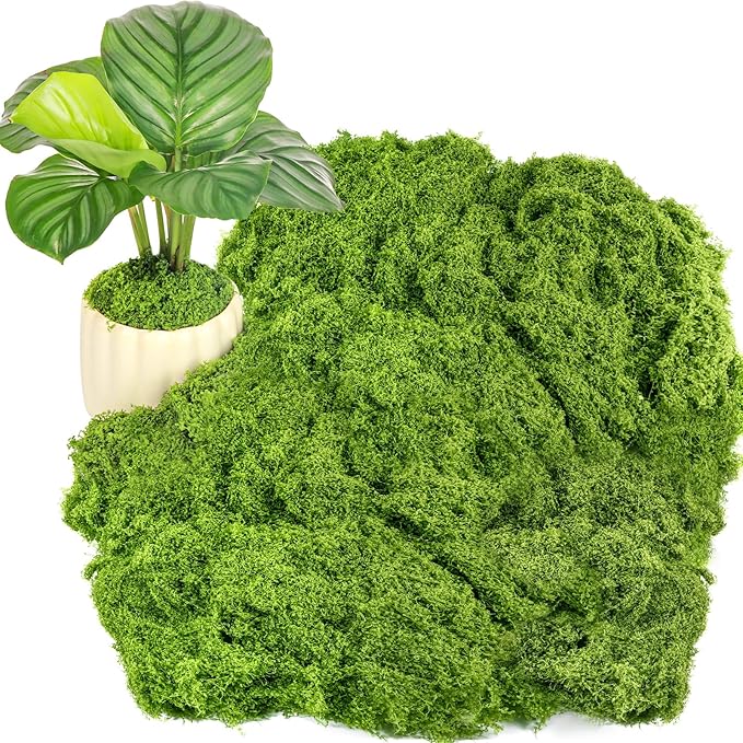 Draupnir Fake Green Moss for Potted Plants, 10.6OZ Fake Moss for Plants Indoor by Draupnir