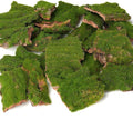 BYHER Assorted Artificial Moss Bark, Decorative Mossy Tree Bark by Byher